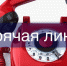 Всё о мерах поддержки субъектов малого и среднего предпринимательства можно узнать по телефону «горячей линии» - Администрация г. Мегиона