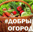Добрый огород - Администрация г. Мегиона