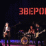 Московский «Зверобой» с благотворительным концертом - ИА Мегионские новости