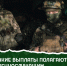 Утверждены размеры выплат за боевые травмы - ИА Мегионские новости