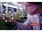 О федеральном проекте «Профессионалитет» национального проекта «Молодежь и дети»