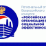 Всероссийский конкурс «Российская организация высокой социальной эффективности» - Администрация г. Мегиона