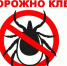 Порядок организации оказания медицинской помощи в  «Мегионской городской больнице» горожанам, пострадавшим от укусов клещей - ИА Мегионские новости