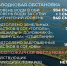 Лесопожарная и паводковая обстановка в Мегионе на 10 июня - Администрация г. Мегиона