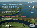 Лесопожарная и паводковая обстановка в Мегионе на 21 июля