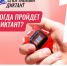 5 октября 2025 в Югре пройдет Спортивный диктант. - ИА Мегионские новости