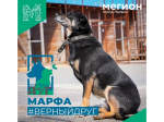Марфа