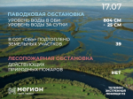 Лесопожарная и паводковая обстановка в Мегионе на 17 июля